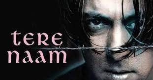 salman khan hit movie tere naam